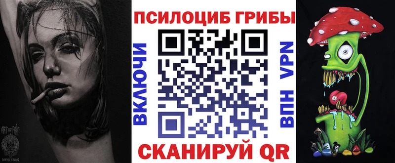 Купить  Дигора  Псилоцибиновые грибы Cubensis 