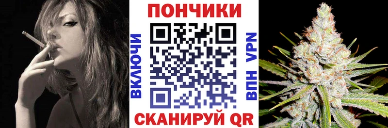Купить  Дигора  Бошки марихуана MAZAR 